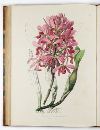 The Orchidaceæ of Mexico & Guatemala by Ja.s Bateman, Esq.re “Like restless serpents, clothed in rainbow and fire, the parasites, starred with ten thousand blossoms flow around the grey trunks” Shelley