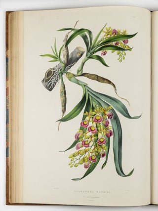 The Orchidace&aelig; of Mexico & Guatemala by Ja.s Bateman, Esq.re &ldquo;Like restless serpents, clothed in rainbow and fire, the parasites, starred with ten thousand blossoms flow around the grey trunks&rdquo; Shelley