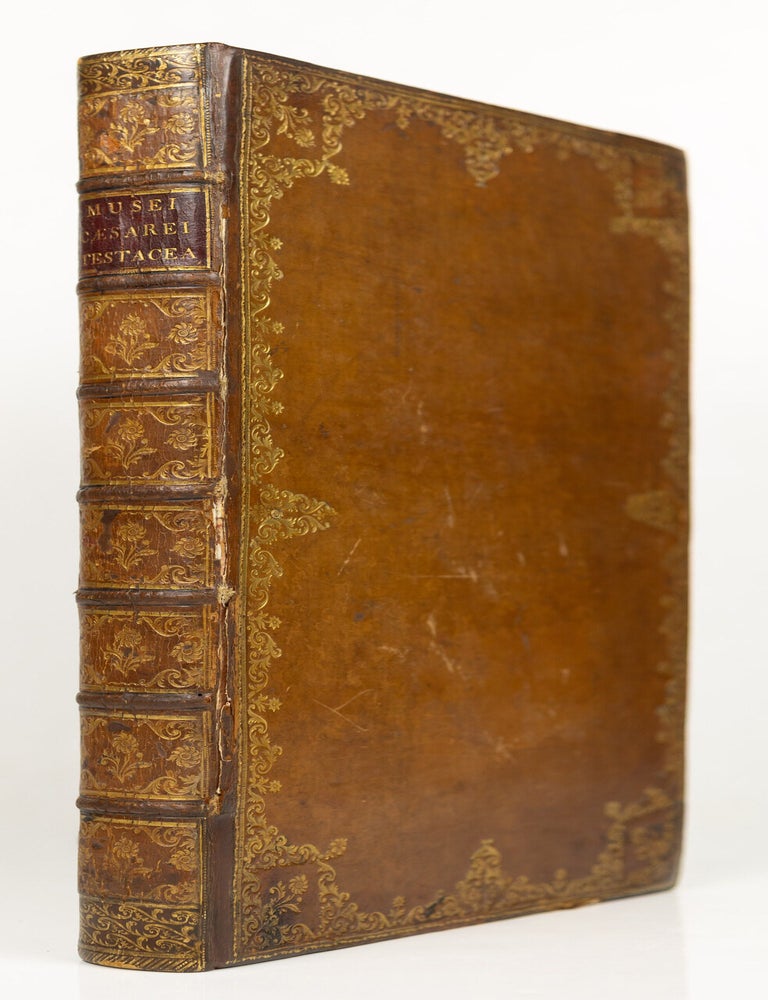 Item #GRM0069 Testacea musei c&aelig;sarei vindobonensis, qu&aelig; jussu Mari&aelig; Theresi&aelig; August&aelig; disposuit et descripsit Ignatius a Born, equ. S. C&aelig;s. Reg. Apost. Majest. In re monetaria et metallica a consiliis aulicis. Academ. Scient. Imp. Nat. Curios. Petropolit. Londinens. Holmens. G&ouml;ttingens. Tolosan. Upsaliens. Sienens. Manacensis &c. Sodalis. Ignaz Edler von Born.