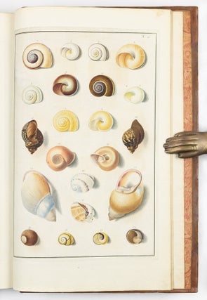 Testacea musei cæsarei vindobonensis, quæ jussu Mariæ Theresiæ Augustæ disposuit et descripsit Ignatius a Born, equ. S. Cæs. Reg. Apost. Majest. In re monetaria et metallica a consiliis aulicis. Academ. Scient. Imp. Nat. Curios. Petropolit. Londinens. Holmens. Göttingens. Tolosan. Upsaliens. Sienens. Manacensis &c. Sodalis