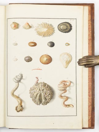 Testacea musei c&aelig;sarei vindobonensis, qu&aelig; jussu Mari&aelig; Theresi&aelig; August&aelig; disposuit et descripsit Ignatius a Born, equ. S. C&aelig;s. Reg. Apost. Majest. In re monetaria et metallica a consiliis aulicis. Academ. Scient. Imp. Nat. Curios. Petropolit. Londinens. Holmens. G&ouml;ttingens. Tolosan. Upsaliens. Sienens. Manacensis &c. Sodalis