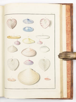 Testacea musei c&aelig;sarei vindobonensis, qu&aelig; jussu Mari&aelig; Theresi&aelig; August&aelig; disposuit et descripsit Ignatius a Born, equ. S. C&aelig;s. Reg. Apost. Majest. In re monetaria et metallica a consiliis aulicis. Academ. Scient. Imp. Nat. Curios. Petropolit. Londinens. Holmens. G&ouml;ttingens. Tolosan. Upsaliens. Sienens. Manacensis &c. Sodalis