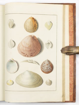 Testacea musei c&aelig;sarei vindobonensis, qu&aelig; jussu Mari&aelig; Theresi&aelig; August&aelig; disposuit et descripsit Ignatius a Born, equ. S. C&aelig;s. Reg. Apost. Majest. In re monetaria et metallica a consiliis aulicis. Academ. Scient. Imp. Nat. Curios. Petropolit. Londinens. Holmens. G&ouml;ttingens. Tolosan. Upsaliens. Sienens. Manacensis &c. Sodalis