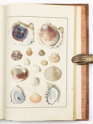 Testacea musei c&aelig;sarei vindobonensis, qu&aelig; jussu Mari&aelig; Theresi&aelig; August&aelig; disposuit et descripsit Ignatius a Born, equ. S. C&aelig;s. Reg. Apost. Majest. In re monetaria et metallica a consiliis aulicis. Academ. Scient. Imp. Nat. Curios. Petropolit. Londinens. Holmens. G&ouml;ttingens. Tolosan. Upsaliens. Sienens. Manacensis &c. Sodalis