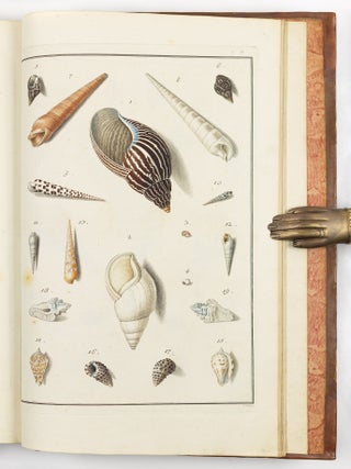 Testacea musei c&aelig;sarei vindobonensis, qu&aelig; jussu Mari&aelig; Theresi&aelig; August&aelig; disposuit et descripsit Ignatius a Born, equ. S. C&aelig;s. Reg. Apost. Majest. In re monetaria et metallica a consiliis aulicis. Academ. Scient. Imp. Nat. Curios. Petropolit. Londinens. Holmens. G&ouml;ttingens. Tolosan. Upsaliens. Sienens. Manacensis &c. Sodalis