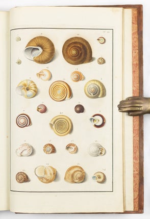 Testacea musei cæsarei vindobonensis, quæ jussu Mariæ Theresiæ Augustæ disposuit et descripsit Ignatius a Born, equ. S. Cæs. Reg. Apost. Majest. In re monetaria et metallica a consiliis aulicis. Academ. Scient. Imp. Nat. Curios. Petropolit. Londinens. Holmens. Göttingens. Tolosan. Upsaliens. Sienens. Manacensis &c. Sodalis