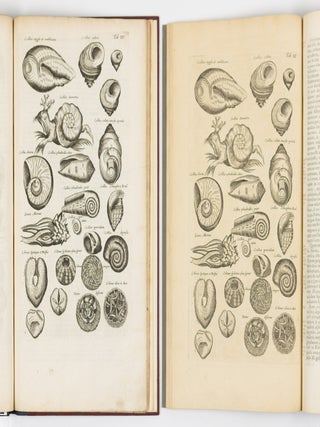 Histori&aelig; naturalis De exanguibus aquaticis libri iv. Cum figuris &AElig;neis. Joannes Jonstonus Med. D. concinnavit WITH Theatri universalis animalium pars quarta sive histori&aelig; naturalis de exanguibus aquaticis libri iv. Cum Enumeratione Morborum quibus Medicamina ed his Animalibus petuntur, ac Notitia Animalium, ex quibus vicissim Remedia pr&aelig;stantissima possunt capi, cura Henrici Ruysch, M.D.