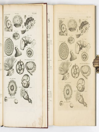Histori&aelig; naturalis De exanguibus aquaticis libri iv. Cum figuris &AElig;neis. Joannes Jonstonus Med. D. concinnavit WITH Theatri universalis animalium pars quarta sive histori&aelig; naturalis de exanguibus aquaticis libri iv. Cum Enumeratione Morborum quibus Medicamina ed his Animalibus petuntur, ac Notitia Animalium, ex quibus vicissim Remedia pr&aelig;stantissima possunt capi, cura Henrici Ruysch, M.D.