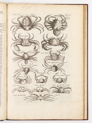 Histori&aelig; naturalis De exanguibus aquaticis libri iv. Cum figuris &AElig;neis. Joannes Jonstonus Med. D. concinnavit WITH Theatri universalis animalium pars quarta sive histori&aelig; naturalis de exanguibus aquaticis libri iv. Cum Enumeratione Morborum quibus Medicamina ed his Animalibus petuntur, ac Notitia Animalium, ex quibus vicissim Remedia pr&aelig;stantissima possunt capi, cura Henrici Ruysch, M.D.