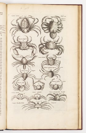 Historiæ naturalis De exanguibus aquaticis libri iv. Cum figuris Æneis. Joannes Jonstonus Med. D. concinnavit WITH Theatri universalis animalium pars quarta sive historiæ naturalis de exanguibus aquaticis libri iv. Cum Enumeratione Morborum quibus Medicamina ed his Animalibus petuntur, ac Notitia Animalium, ex quibus vicissim Remedia præstantissima possunt capi, cura Henrici Ruysch, M.D.