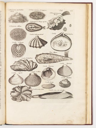 Histori&aelig; naturalis De exanguibus aquaticis libri iv. Cum figuris &AElig;neis. Joannes Jonstonus Med. D. concinnavit WITH Theatri universalis animalium pars quarta sive histori&aelig; naturalis de exanguibus aquaticis libri iv. Cum Enumeratione Morborum quibus Medicamina ed his Animalibus petuntur, ac Notitia Animalium, ex quibus vicissim Remedia pr&aelig;stantissima possunt capi, cura Henrici Ruysch, M.D.