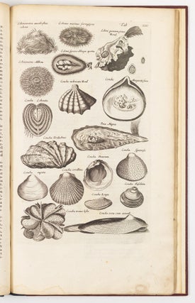 Historiæ naturalis De exanguibus aquaticis libri iv. Cum figuris Æneis. Joannes Jonstonus Med. D. concinnavit WITH Theatri universalis animalium pars quarta sive historiæ naturalis de exanguibus aquaticis libri iv. Cum Enumeratione Morborum quibus Medicamina ed his Animalibus petuntur, ac Notitia Animalium, ex quibus vicissim Remedia præstantissima possunt capi, cura Henrici Ruysch, M.D.