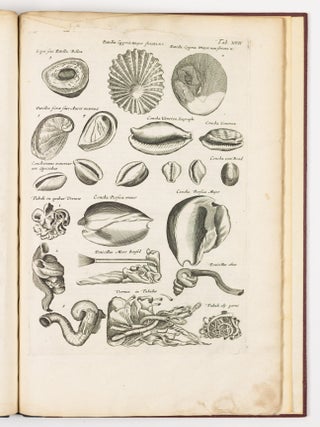 Histori&aelig; naturalis De exanguibus aquaticis libri iv. Cum figuris &AElig;neis. Joannes Jonstonus Med. D. concinnavit WITH Theatri universalis animalium pars quarta sive histori&aelig; naturalis de exanguibus aquaticis libri iv. Cum Enumeratione Morborum quibus Medicamina ed his Animalibus petuntur, ac Notitia Animalium, ex quibus vicissim Remedia pr&aelig;stantissima possunt capi, cura Henrici Ruysch, M.D.