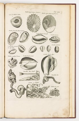 Historiæ naturalis De exanguibus aquaticis libri iv. Cum figuris Æneis. Joannes Jonstonus Med. D. concinnavit WITH Theatri universalis animalium pars quarta sive historiæ naturalis de exanguibus aquaticis libri iv. Cum Enumeratione Morborum quibus Medicamina ed his Animalibus petuntur, ac Notitia Animalium, ex quibus vicissim Remedia præstantissima possunt capi, cura Henrici Ruysch, M.D.