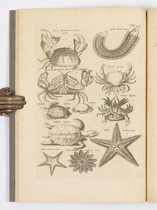 Histori&aelig; naturalis De exanguibus aquaticis libri iv. Cum figuris &AElig;neis. Joannes Jonstonus Med. D. concinnavit WITH Theatri universalis animalium pars quarta sive histori&aelig; naturalis de exanguibus aquaticis libri iv. Cum Enumeratione Morborum quibus Medicamina ed his Animalibus petuntur, ac Notitia Animalium, ex quibus vicissim Remedia pr&aelig;stantissima possunt capi, cura Henrici Ruysch, M.D.