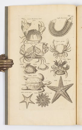 Historiæ naturalis De exanguibus aquaticis libri iv. Cum figuris Æneis. Joannes Jonstonus Med. D. concinnavit WITH Theatri universalis animalium pars quarta sive historiæ naturalis de exanguibus aquaticis libri iv. Cum Enumeratione Morborum quibus Medicamina ed his Animalibus petuntur, ac Notitia Animalium, ex quibus vicissim Remedia præstantissima possunt capi, cura Henrici Ruysch, M.D.
