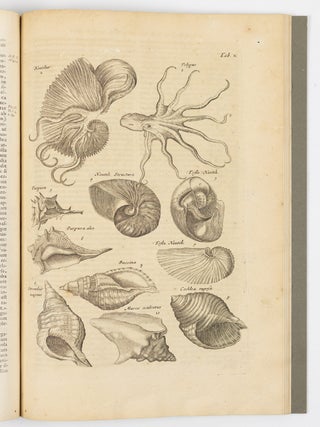 Histori&aelig; naturalis De exanguibus aquaticis libri iv. Cum figuris &AElig;neis. Joannes Jonstonus Med. D. concinnavit WITH Theatri universalis animalium pars quarta sive histori&aelig; naturalis de exanguibus aquaticis libri iv. Cum Enumeratione Morborum quibus Medicamina ed his Animalibus petuntur, ac Notitia Animalium, ex quibus vicissim Remedia pr&aelig;stantissima possunt capi, cura Henrici Ruysch, M.D.