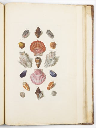Choix de coquillages et de crustac&eacute;s peints d&rsquo;apr&egrave;s nature grav&eacute;s en taille douce et illumin&eacute;s de leurs vra&iuml;s couleurs par Fran&ccedil;ois Michel Regenfuss graveur du Roi. Publi&eacute; par ordre du Roi / Auserlesne Schnecken, Muscheln und andre Schaalthiere auf allerh&ouml;chsten Befehl Seiner K&ouml;niglichen Majest&auml;t nach den Originalen gemalt, in Kupfer gestochen, und mit natrlichen Farben erleuchtet