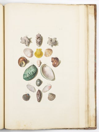Choix de coquillages et de crustac&eacute;s peints d&rsquo;apr&egrave;s nature grav&eacute;s en taille douce et illumin&eacute;s de leurs vra&iuml;s couleurs par Fran&ccedil;ois Michel Regenfuss graveur du Roi. Publi&eacute; par ordre du Roi / Auserlesne Schnecken, Muscheln und andre Schaalthiere auf allerh&ouml;chsten Befehl Seiner K&ouml;niglichen Majest&auml;t nach den Originalen gemalt, in Kupfer gestochen, und mit natrlichen Farben erleuchtet