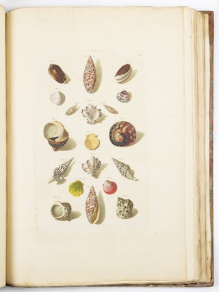 Choix de coquillages et de crustac&eacute;s peints d&rsquo;apr&egrave;s nature grav&eacute;s en taille douce et illumin&eacute;s de leurs vra&iuml;s couleurs par Fran&ccedil;ois Michel Regenfuss graveur du Roi. Publi&eacute; par ordre du Roi / Auserlesne Schnecken, Muscheln und andre Schaalthiere auf allerh&ouml;chsten Befehl Seiner K&ouml;niglichen Majest&auml;t nach den Originalen gemalt, in Kupfer gestochen, und mit natrlichen Farben erleuchtet