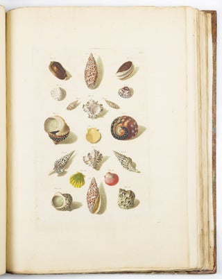 Choix de coquillages et de crustacés peints d’après nature gravés en taille douce et illuminés de leurs vraïs couleurs par François Michel Regenfuss graveur du Roi. Publié par ordre du Roi / Auserlesne Schnecken, Muscheln und andre Schaalthiere auf allerhöchsten Befehl Seiner Königlichen Majestät nach den Originalen gemalt, in Kupfer gestochen, und mit natrlichen Farben erleuchtet