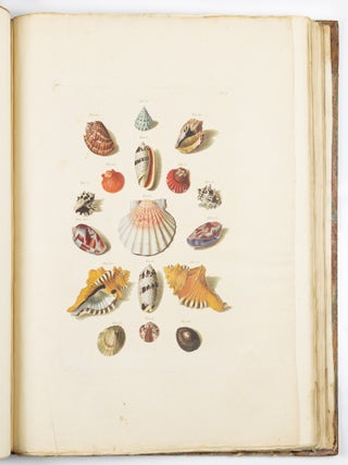 Choix de coquillages et de crustac&eacute;s peints d&rsquo;apr&egrave;s nature grav&eacute;s en taille douce et illumin&eacute;s de leurs vra&iuml;s couleurs par Fran&ccedil;ois Michel Regenfuss graveur du Roi. Publi&eacute; par ordre du Roi / Auserlesne Schnecken, Muscheln und andre Schaalthiere auf allerh&ouml;chsten Befehl Seiner K&ouml;niglichen Majest&auml;t nach den Originalen gemalt, in Kupfer gestochen, und mit natrlichen Farben erleuchtet