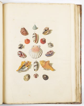 Choix de coquillages et de crustacés peints d’après nature gravés en taille douce et illuminés de leurs vraïs couleurs par François Michel Regenfuss graveur du Roi. Publié par ordre du Roi / Auserlesne Schnecken, Muscheln und andre Schaalthiere auf allerhöchsten Befehl Seiner Königlichen Majestät nach den Originalen gemalt, in Kupfer gestochen, und mit natrlichen Farben erleuchtet