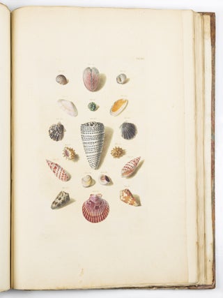 Choix de coquillages et de crustac&eacute;s peints d&rsquo;apr&egrave;s nature grav&eacute;s en taille douce et illumin&eacute;s de leurs vra&iuml;s couleurs par Fran&ccedil;ois Michel Regenfuss graveur du Roi. Publi&eacute; par ordre du Roi / Auserlesne Schnecken, Muscheln und andre Schaalthiere auf allerh&ouml;chsten Befehl Seiner K&ouml;niglichen Majest&auml;t nach den Originalen gemalt, in Kupfer gestochen, und mit natrlichen Farben erleuchtet