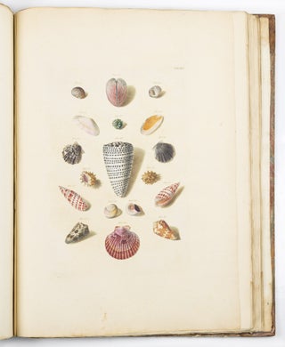 Choix de coquillages et de crustacés peints d’après nature gravés en taille douce et illuminés de leurs vraïs couleurs par François Michel Regenfuss graveur du Roi. Publié par ordre du Roi / Auserlesne Schnecken, Muscheln und andre Schaalthiere auf allerhöchsten Befehl Seiner Königlichen Majestät nach den Originalen gemalt, in Kupfer gestochen, und mit natrlichen Farben erleuchtet