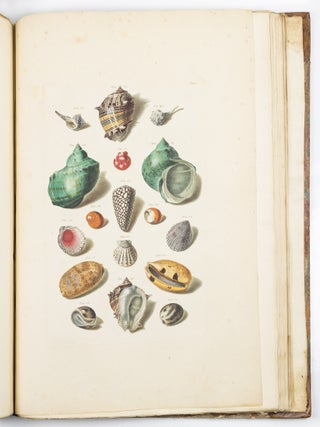 Choix de coquillages et de crustac&eacute;s peints d&rsquo;apr&egrave;s nature grav&eacute;s en taille douce et illumin&eacute;s de leurs vra&iuml;s couleurs par Fran&ccedil;ois Michel Regenfuss graveur du Roi. Publi&eacute; par ordre du Roi / Auserlesne Schnecken, Muscheln und andre Schaalthiere auf allerh&ouml;chsten Befehl Seiner K&ouml;niglichen Majest&auml;t nach den Originalen gemalt, in Kupfer gestochen, und mit natrlichen Farben erleuchtet