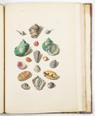 Choix de coquillages et de crustacés peints d’après nature gravés en taille douce et illuminés de leurs vraïs couleurs par François Michel Regenfuss graveur du Roi. Publié par ordre du Roi / Auserlesne Schnecken, Muscheln und andre Schaalthiere auf allerhöchsten Befehl Seiner Königlichen Majestät nach den Originalen gemalt, in Kupfer gestochen, und mit natrlichen Farben erleuchtet
