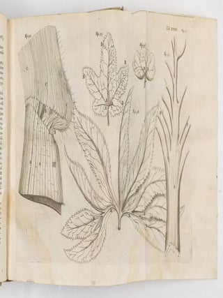 Marcelli Malpighii. Medici, & Philosophi, nec non Professoris Bononiensis, Regi&aelig; Societatis Anglican&aelig; Socii. Opera Omnia, seu thesaurus locupletissimus botanico-medico-anatomicus, viginti quatuor tractatus complectens et in duos tomos distributus, quorum Tractatuum Seriem videre est Dedicatione absolut&acirc;.