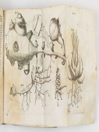 Marcelli Malpighii. Medici, & Philosophi, nec non Professoris Bononiensis, Regi&aelig; Societatis Anglican&aelig; Socii. Opera Omnia, seu thesaurus locupletissimus botanico-medico-anatomicus, viginti quatuor tractatus complectens et in duos tomos distributus, quorum Tractatuum Seriem videre est Dedicatione absolut&acirc;.