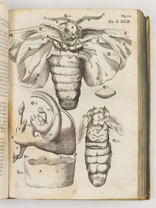 Marcelli Malpighii. Medici, & Philosophi, nec non Professoris Bononiensis, Regi&aelig; Societatis Anglican&aelig; Socii. Opera Omnia, seu thesaurus locupletissimus botanico-medico-anatomicus, viginti quatuor tractatus complectens et in duos tomos distributus, quorum Tractatuum Seriem videre est Dedicatione absolut&acirc;.