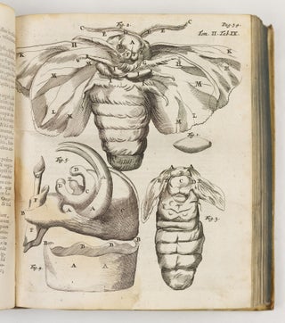 Marcelli Malpighii. Medici, & Philosophi, nec non Professoris Bononiensis, Regiæ Societatis Anglicanæ Socii. Opera Omnia, seu thesaurus locupletissimus botanico-medico-anatomicus, viginti quatuor tractatus complectens et in duos tomos distributus, quorum Tractatuum Seriem videre est Dedicatione absolutâ.
