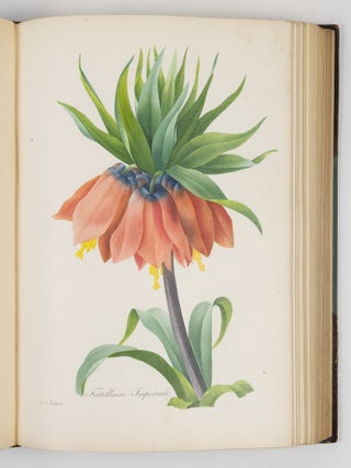 Choix des plus belles fluers et des plus beaux fruits par P.J. Redout&eacute; chevalier de la L&eacute;gion d&rsquo;Honneur, peintre et professeur d&rsquo;iconographie au Mus&eacute;e d&rsquo;Histoire Naturelle, dessinateur en titre de la classe de physique et math&eacute;matiques de l&rsquo;Institut, membre de la Soci&eacute;t&eacute; Philotechnique et des Enfans d&rsquo;Apollon, de celle d&rsquo;agriculture du d&eacute;partement de seine-et-oise, membre correspondant de la Soci&eacute;t&eacute; Royale d&rsquo;Agriculture et de botanique de la ville de Gand, associ&eacute; honoraire de la Soci&eacute;t&eacute; de Gen&egrave;ve, membre correspondant de celle dite Horticulturale de Londres, etc.