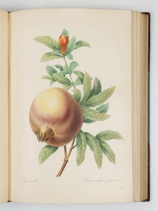 Choix des plus belles fluers et des plus beaux fruits par P.J. Redout&eacute; chevalier de la L&eacute;gion d&rsquo;Honneur, peintre et professeur d&rsquo;iconographie au Mus&eacute;e d&rsquo;Histoire Naturelle, dessinateur en titre de la classe de physique et math&eacute;matiques de l&rsquo;Institut, membre de la Soci&eacute;t&eacute; Philotechnique et des Enfans d&rsquo;Apollon, de celle d&rsquo;agriculture du d&eacute;partement de seine-et-oise, membre correspondant de la Soci&eacute;t&eacute; Royale d&rsquo;Agriculture et de botanique de la ville de Gand, associ&eacute; honoraire de la Soci&eacute;t&eacute; de Gen&egrave;ve, membre correspondant de celle dite Horticulturale de Londres, etc.
