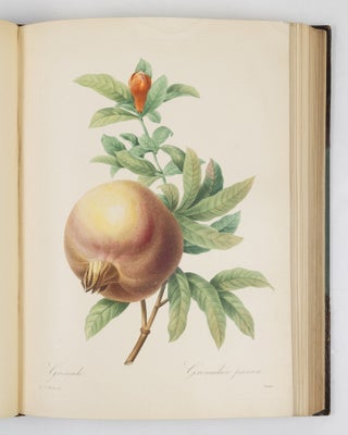 Choix des plus belles fluers et des plus beaux fruits par P.J. Redouté chevalier de la Légion d’Honneur, peintre et professeur d’iconographie au Musée d’Histoire Naturelle, dessinateur en titre de la classe de physique et mathématiques de l’Institut, membre de la Société Philotechnique et des Enfans d’Apollon, de celle d’agriculture du département de seine-et-oise, membre correspondant de la Société Royale d’Agriculture et de botanique de la ville de Gand, associé honoraire de la Société de Genève, membre correspondant de celle dite Horticulturale de Londres, etc.