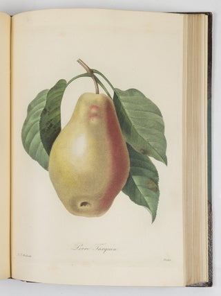 Choix des plus belles fluers et des plus beaux fruits par P.J. Redout&eacute; chevalier de la L&eacute;gion d&rsquo;Honneur, peintre et professeur d&rsquo;iconographie au Mus&eacute;e d&rsquo;Histoire Naturelle, dessinateur en titre de la classe de physique et math&eacute;matiques de l&rsquo;Institut, membre de la Soci&eacute;t&eacute; Philotechnique et des Enfans d&rsquo;Apollon, de celle d&rsquo;agriculture du d&eacute;partement de seine-et-oise, membre correspondant de la Soci&eacute;t&eacute; Royale d&rsquo;Agriculture et de botanique de la ville de Gand, associ&eacute; honoraire de la Soci&eacute;t&eacute; de Gen&egrave;ve, membre correspondant de celle dite Horticulturale de Londres, etc.