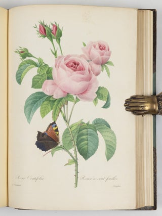 Choix des plus belles fluers et des plus beaux fruits par P.J. Redout&eacute; chevalier de la L&eacute;gion d&rsquo;Honneur, peintre et professeur d&rsquo;iconographie au Mus&eacute;e d&rsquo;Histoire Naturelle, dessinateur en titre de la classe de physique et math&eacute;matiques de l&rsquo;Institut, membre de la Soci&eacute;t&eacute; Philotechnique et des Enfans d&rsquo;Apollon, de celle d&rsquo;agriculture du d&eacute;partement de seine-et-oise, membre correspondant de la Soci&eacute;t&eacute; Royale d&rsquo;Agriculture et de botanique de la ville de Gand, associ&eacute; honoraire de la Soci&eacute;t&eacute; de Gen&egrave;ve, membre correspondant de celle dite Horticulturale de Londres, etc.