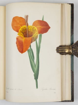 Choix des plus belles fluers et des plus beaux fruits par P.J. Redout&eacute; chevalier de la L&eacute;gion d&rsquo;Honneur, peintre et professeur d&rsquo;iconographie au Mus&eacute;e d&rsquo;Histoire Naturelle, dessinateur en titre de la classe de physique et math&eacute;matiques de l&rsquo;Institut, membre de la Soci&eacute;t&eacute; Philotechnique et des Enfans d&rsquo;Apollon, de celle d&rsquo;agriculture du d&eacute;partement de seine-et-oise, membre correspondant de la Soci&eacute;t&eacute; Royale d&rsquo;Agriculture et de botanique de la ville de Gand, associ&eacute; honoraire de la Soci&eacute;t&eacute; de Gen&egrave;ve, membre correspondant de celle dite Horticulturale de Londres, etc.