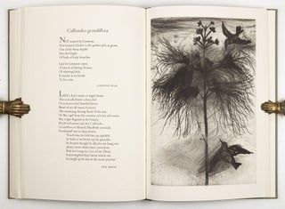 The temple of flora: Twenty-eight drypoint-engravings by Jim Dine with botanical notes compiled and poetry selected by Glenn Todd & Nancy Dine.