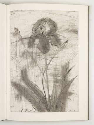 The temple of flora: Twenty-eight drypoint-engravings by Jim Dine with botanical notes compiled and poetry selected by Glenn Todd & Nancy Dine.