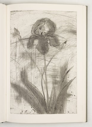The temple of flora: Twenty-eight drypoint-engravings by Jim Dine with botanical notes compiled and poetry selected by Glenn Todd & Nancy Dine.