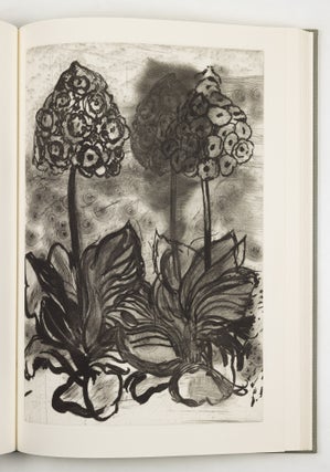 The temple of flora: Twenty-eight drypoint-engravings by Jim Dine with botanical notes compiled and poetry selected by Glenn Todd & Nancy Dine.