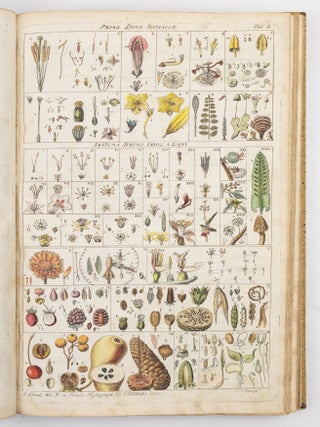 Anleitung zu der Pflanzenkenntniss und derselben n&uuml;tzlichen Anwendung. Mit hundert illuminirten Talfen