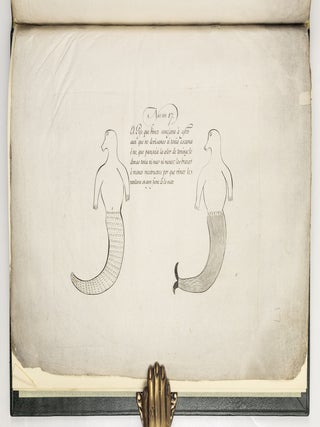 Relacion del viage hecho por las goletas Sutil y Mexicana en el a&ntilde;o de 1792 para reconocer el estrecho de fuca; con una introduccion en que se da noticia de las expediciones executadasanteriormente por los Espa&ntilde;oles en busca del paso del noroeste de la Am&eacute;rica.