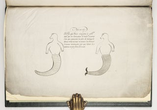 Relacion del viage hecho por las goletas Sutil y Mexicana en el año de 1792 para reconocer el estrecho de fuca; con una introduccion en que se da noticia de las expediciones executadasanteriormente por los Españoles en busca del paso del noroeste de la América.