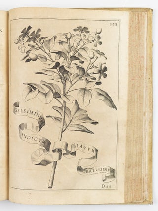 Flora overo cultura di fiori Del P. Gio: Battista Ferrari Sanese della Comp. di Gies&ugrave; Distinta in Quattro Libri E trasportata dalla lingua Latina nell&rsquo; Italiana da Lodovico Aureli Perugino