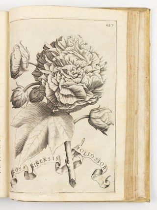 Flora overo cultura di fiori Del P. Gio: Battista Ferrari Sanese della Comp. di Gies&ugrave; Distinta in Quattro Libri E trasportata dalla lingua Latina nell&rsquo; Italiana da Lodovico Aureli Perugino